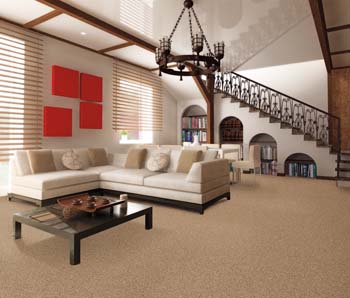 Carpet Flooring in Kalamazoo, MI.